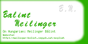 balint meilinger business card